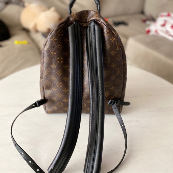 Louis Vuitton Palm Springs MM - Picture 3 of 8